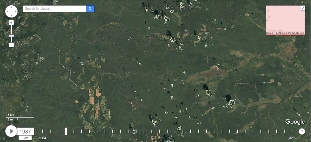 How Siberia is cut down - Forest, Siberia, Chop, 