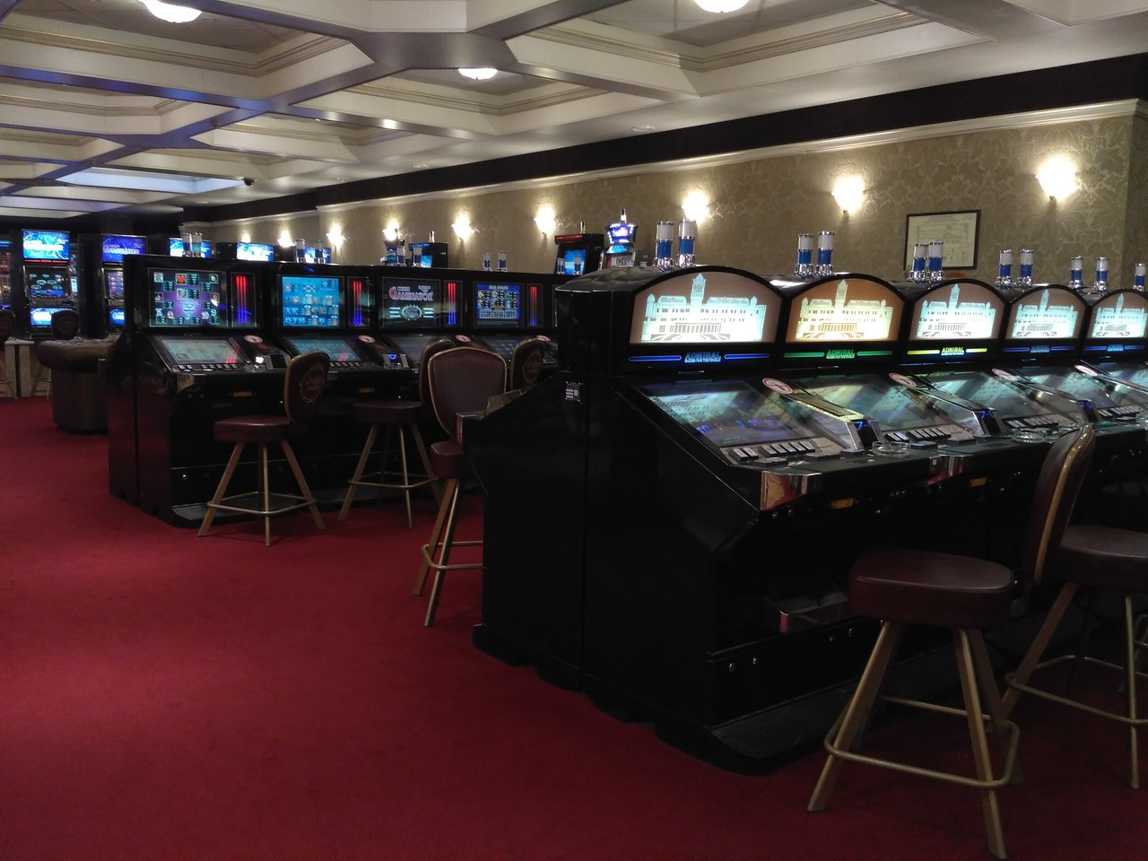 Gambling zone in the Altai Mountains. - My, Travels, Mountain Altai, Casino, Video, Longpost, Altai Republic