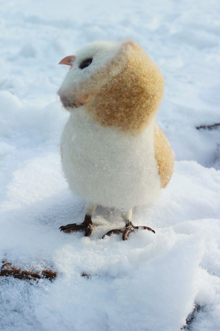 Owl barn owl made of wool - My, Needlework, Owl, My, Hobby, Toys, Winter, Photo, With your own hands, Longpost