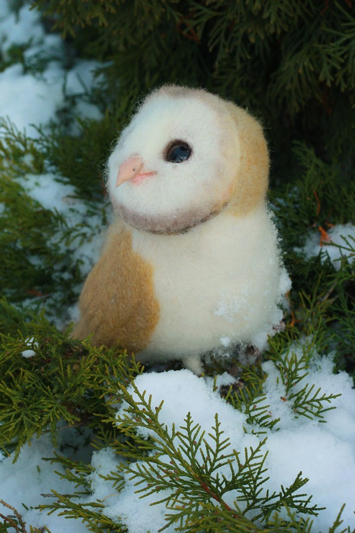 Owl barn owl made of wool - My, Needlework, Owl, My, Hobby, Toys, Winter, Photo, With your own hands, Longpost