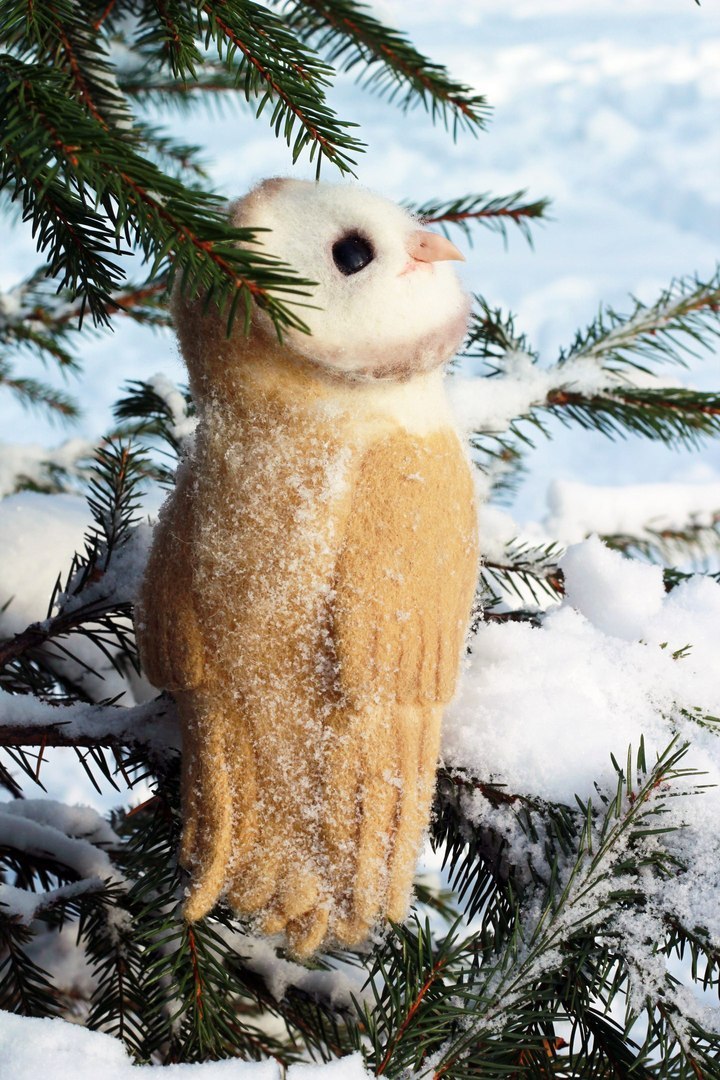 Owl barn owl made of wool - My, Needlework, Owl, My, Hobby, Toys, Winter, Photo, With your own hands, Longpost