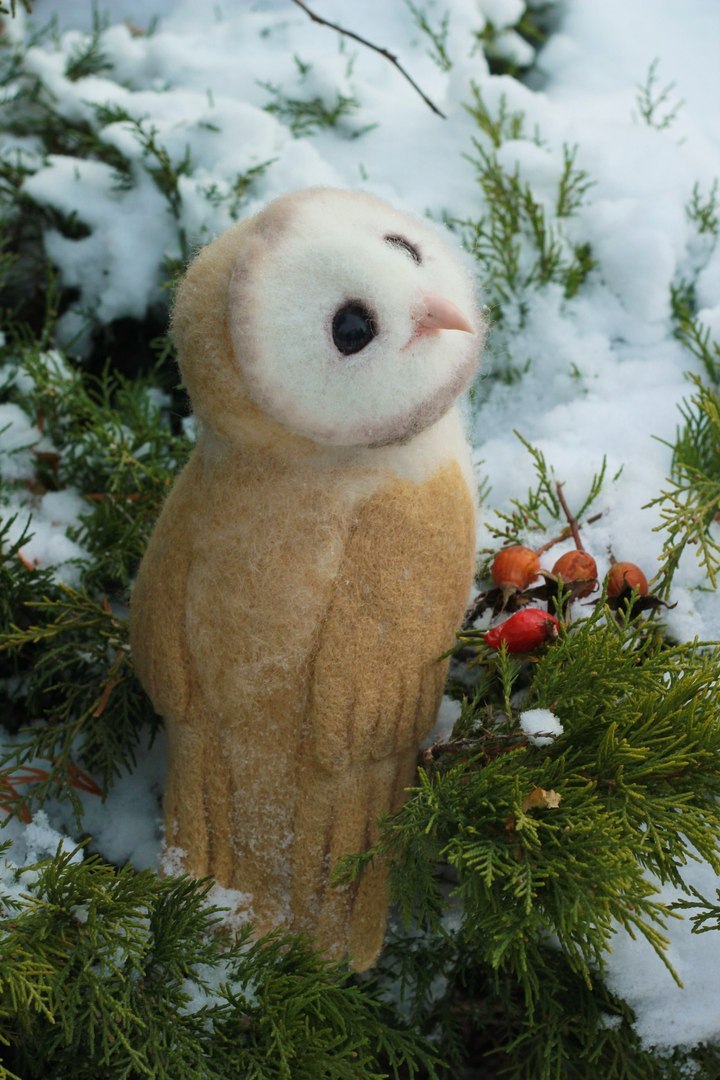 Owl barn owl made of wool - My, Needlework, Owl, My, Hobby, Toys, Winter, Photo, With your own hands, Longpost