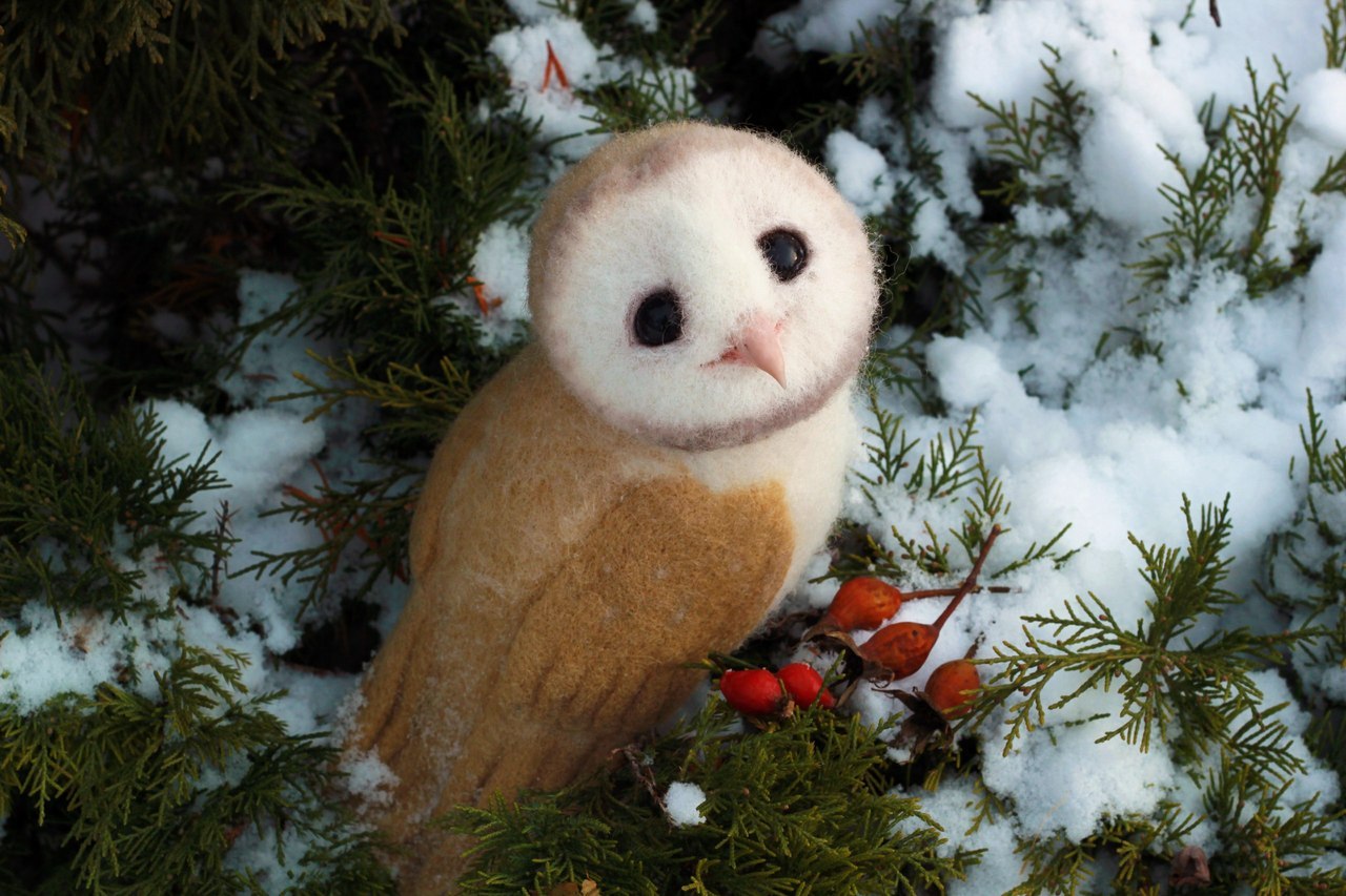 Owl barn owl made of wool - My, Needlework, Owl, My, Hobby, Toys, Winter, Photo, With your own hands, Longpost