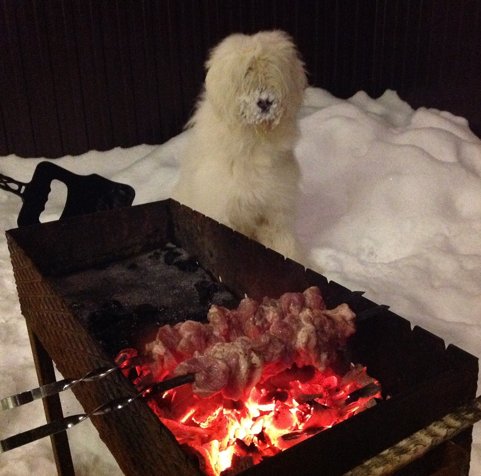 Happy Saturday everyone - My, Shashlik, Dog, Saturday