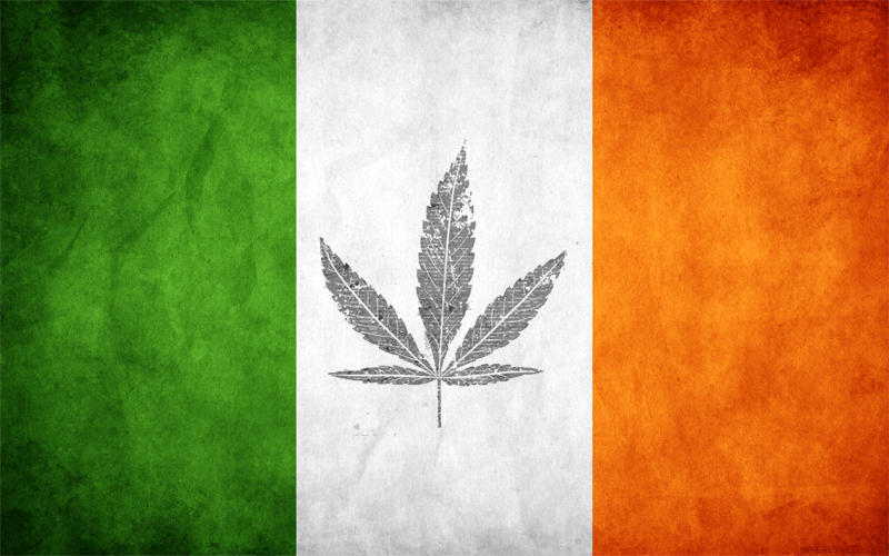 Ирландия марихуана конопля листья желтеют и сохнут