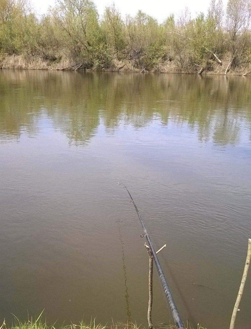 Fishing report Sunday outing - My, Report, Fishing, , Longpost, 