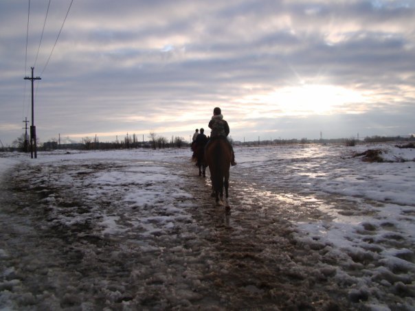 The stable from the inside. - My, Horses, Horses, Memories, Winter, Longpost