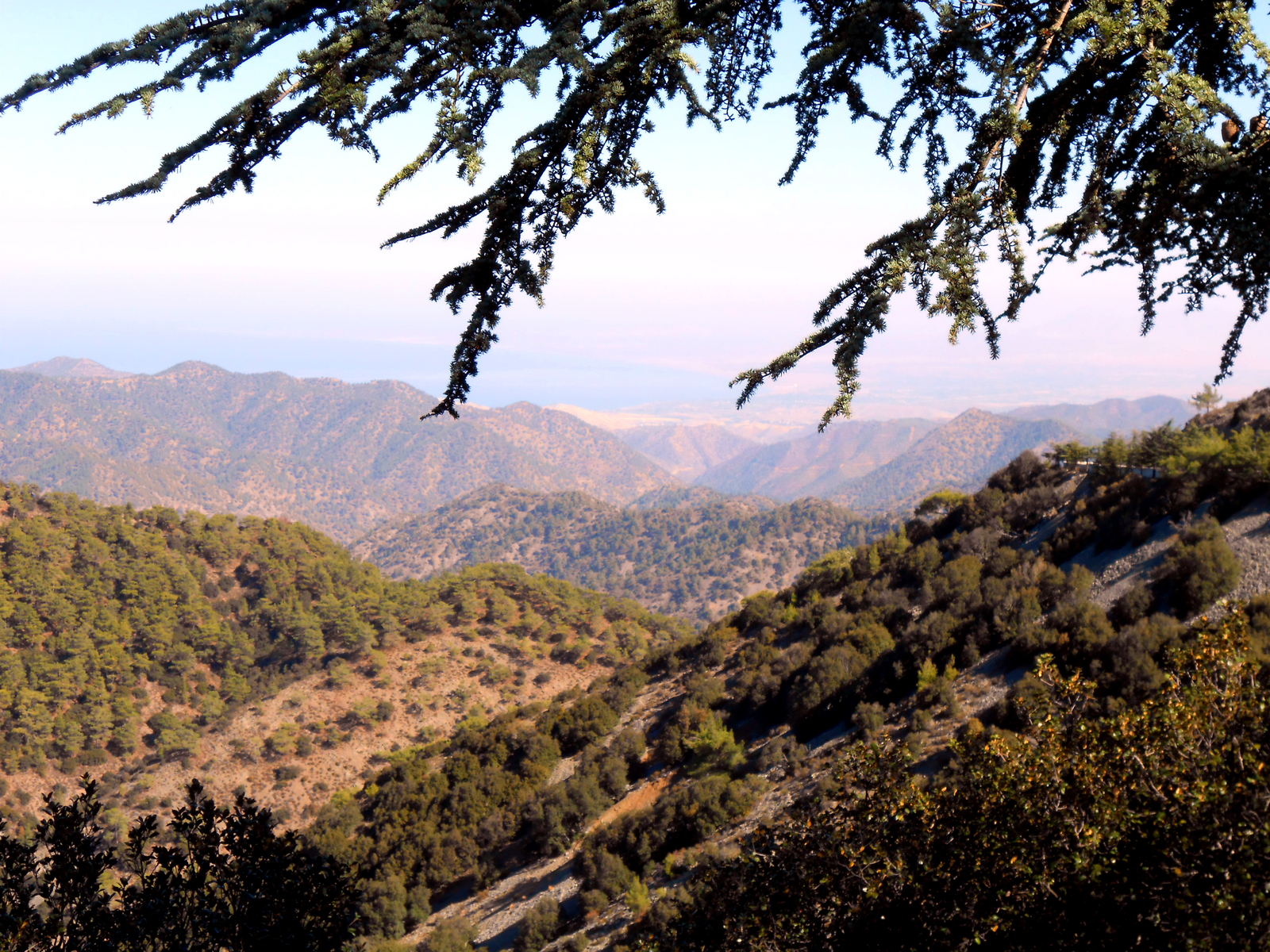 Cyprus Part 1 - My, Cyprus, Larnaca, Limassol, Landscape, Photo, Longpost