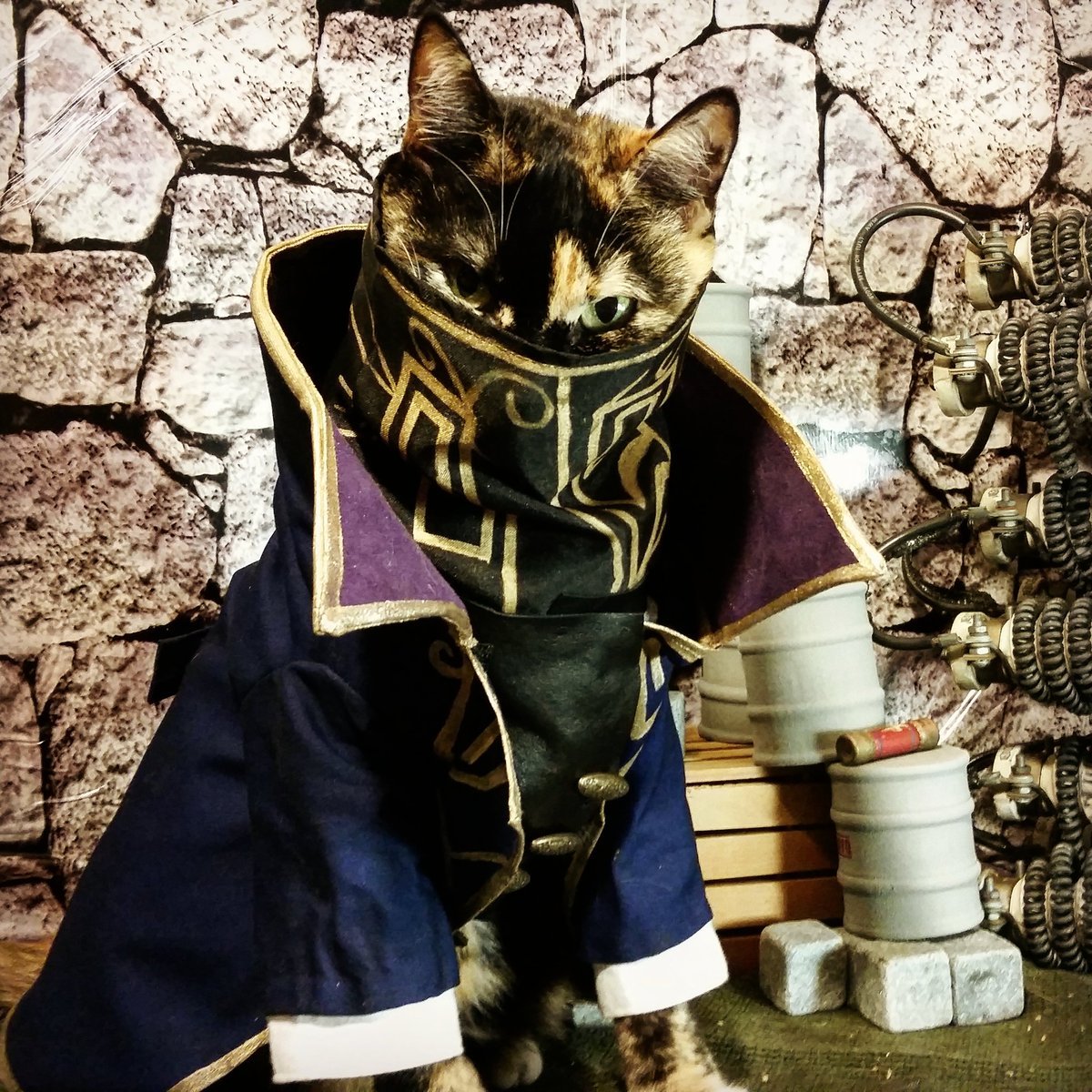 He will take back Whiskas! - cat, Dishonored, Cosplay