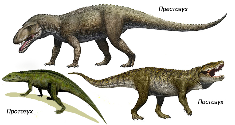 Triassic-Jurassic extinction. - My, Paleontology, Extinction, Ecological catastrophy, Mesozoic, Longpost