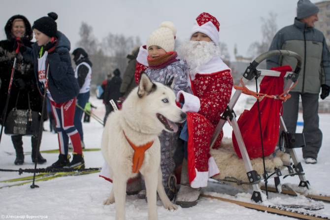 Santa Claus and Husky - Sergiev Posad, Husky House, Husky, Father Frost, Children, Riding sports