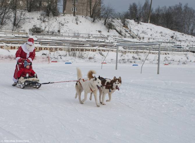 Santa Claus and Husky - Sergiev Posad, Husky House, Husky, Father Frost, Children, Riding sports