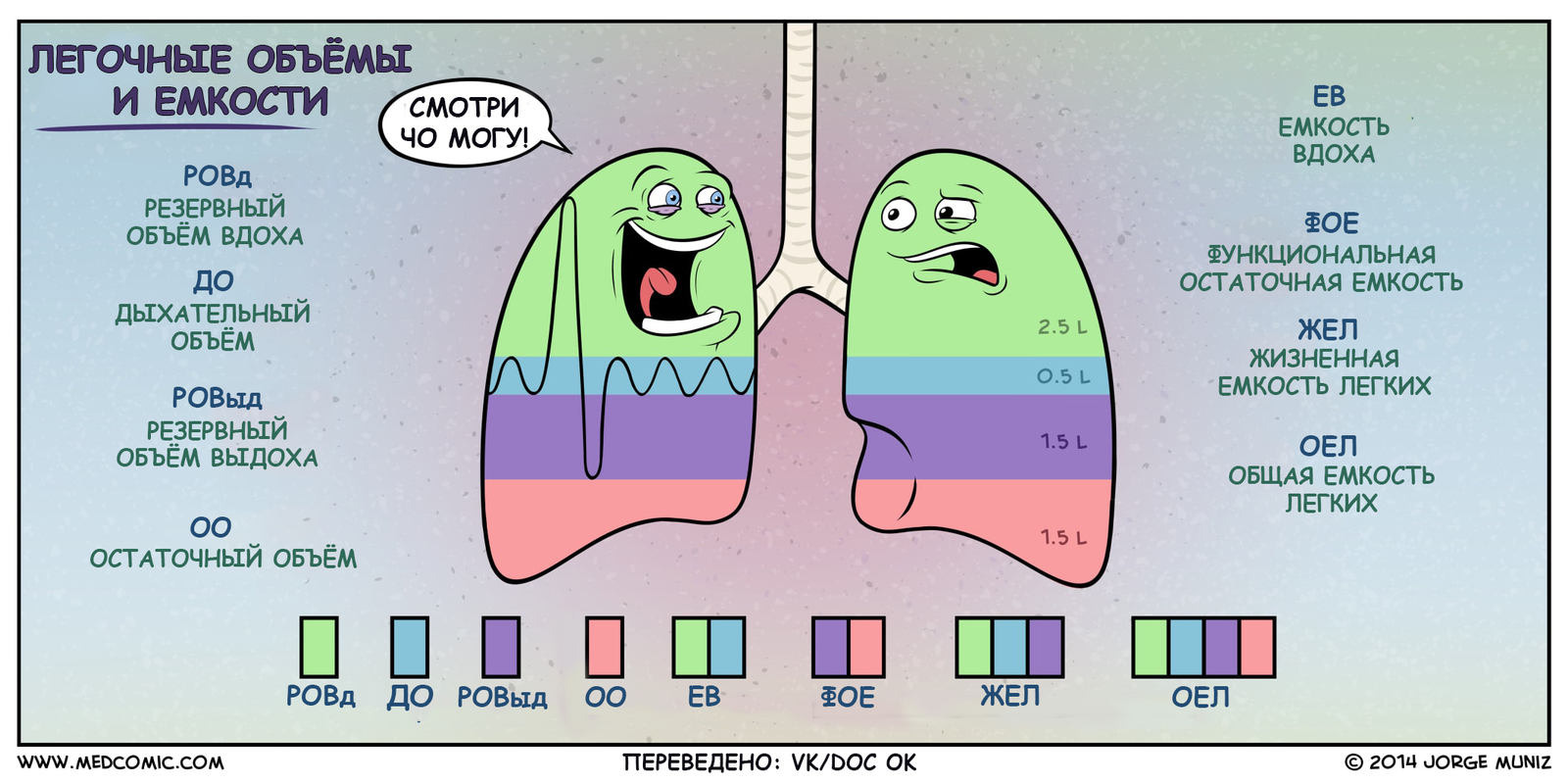 Легочные объёмы и емкости - Пульмонология, Медицина, Терапия, Студент-Медик, Комиксы, Дыхание