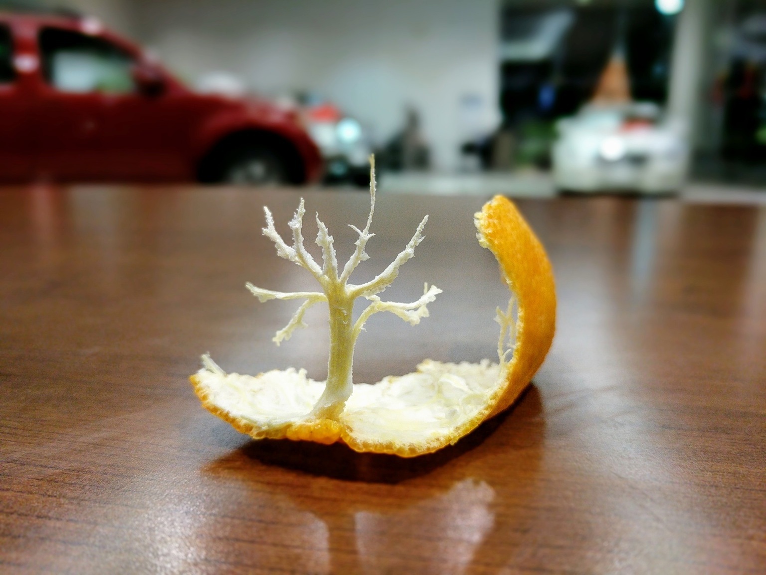 Small tangerine tree. - , Tree, Tangerines, Table, Фрукты