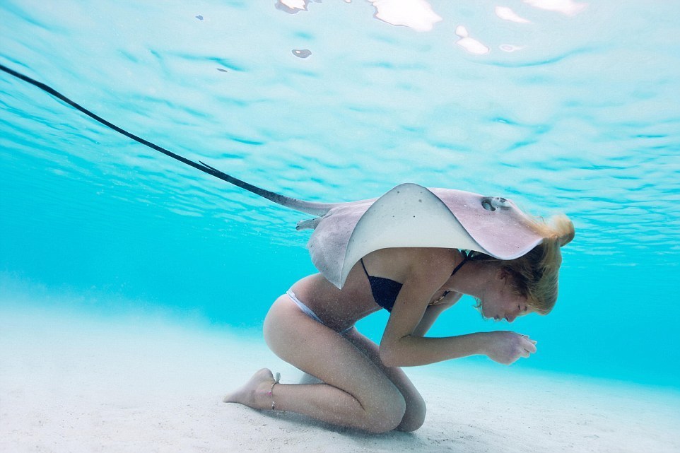 With a huge spike - Photo, Girls, Stingray