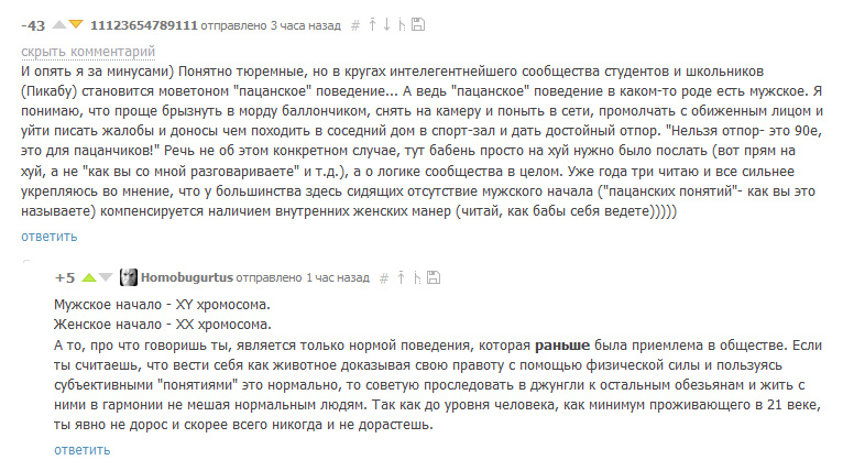 Прекрасный комментарий про «мужское начало» и настоящую цивилизованность - Не мое, Комментарии, Цивилизованность