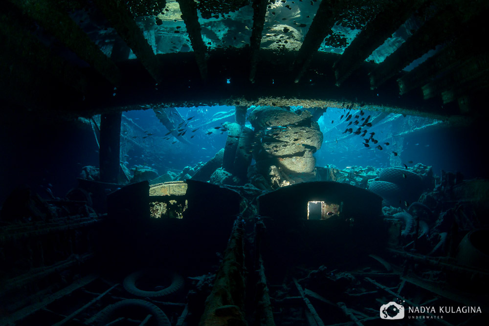 Thistelgorm - Photo, Diving, Sunken ships, Thistelgorm, Longpost