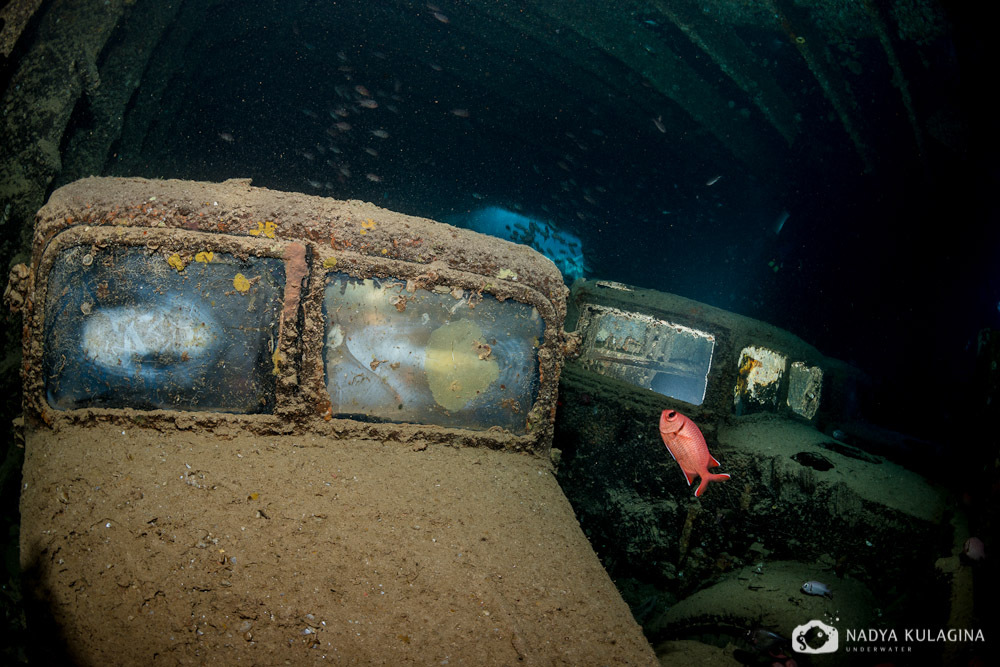 Thistelgorm - Photo, Diving, Sunken ships, Thistelgorm, Longpost