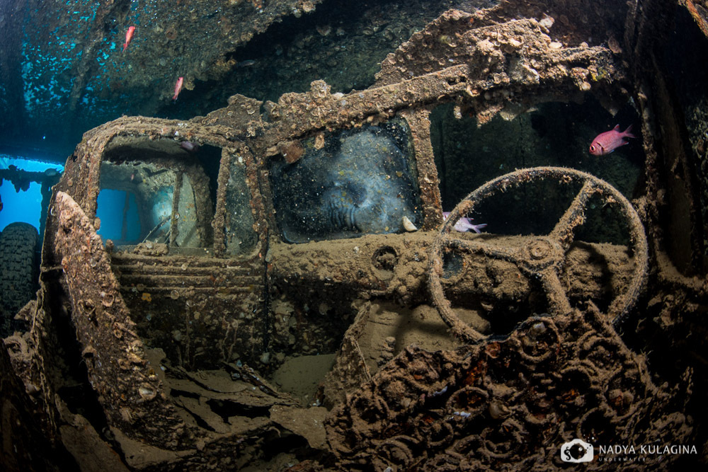 Thistelgorm - Photo, Diving, Sunken ships, Thistelgorm, Longpost