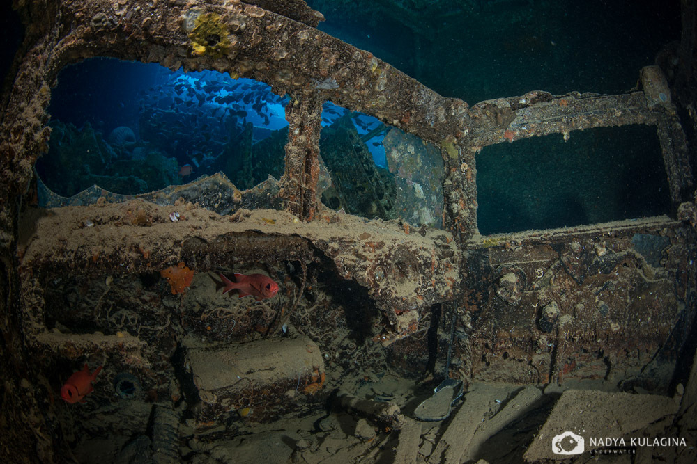 Thistelgorm - Photo, Diving, Sunken ships, Thistelgorm, Longpost