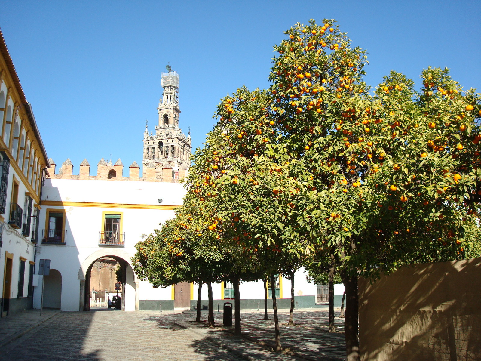 Spain. Seville. - My, Spain, Seville, Longpost