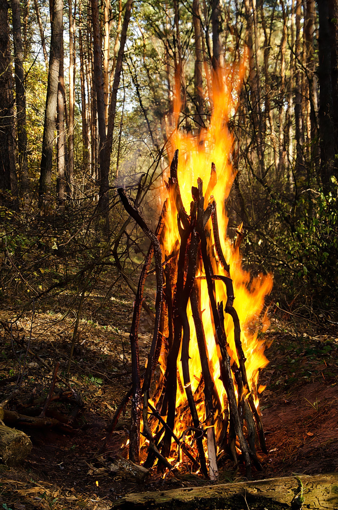 Legend of the Phoenix - My, Phoenix, Legend, PHOTOSESSION, Story, , Forest, Smoke, Longpost