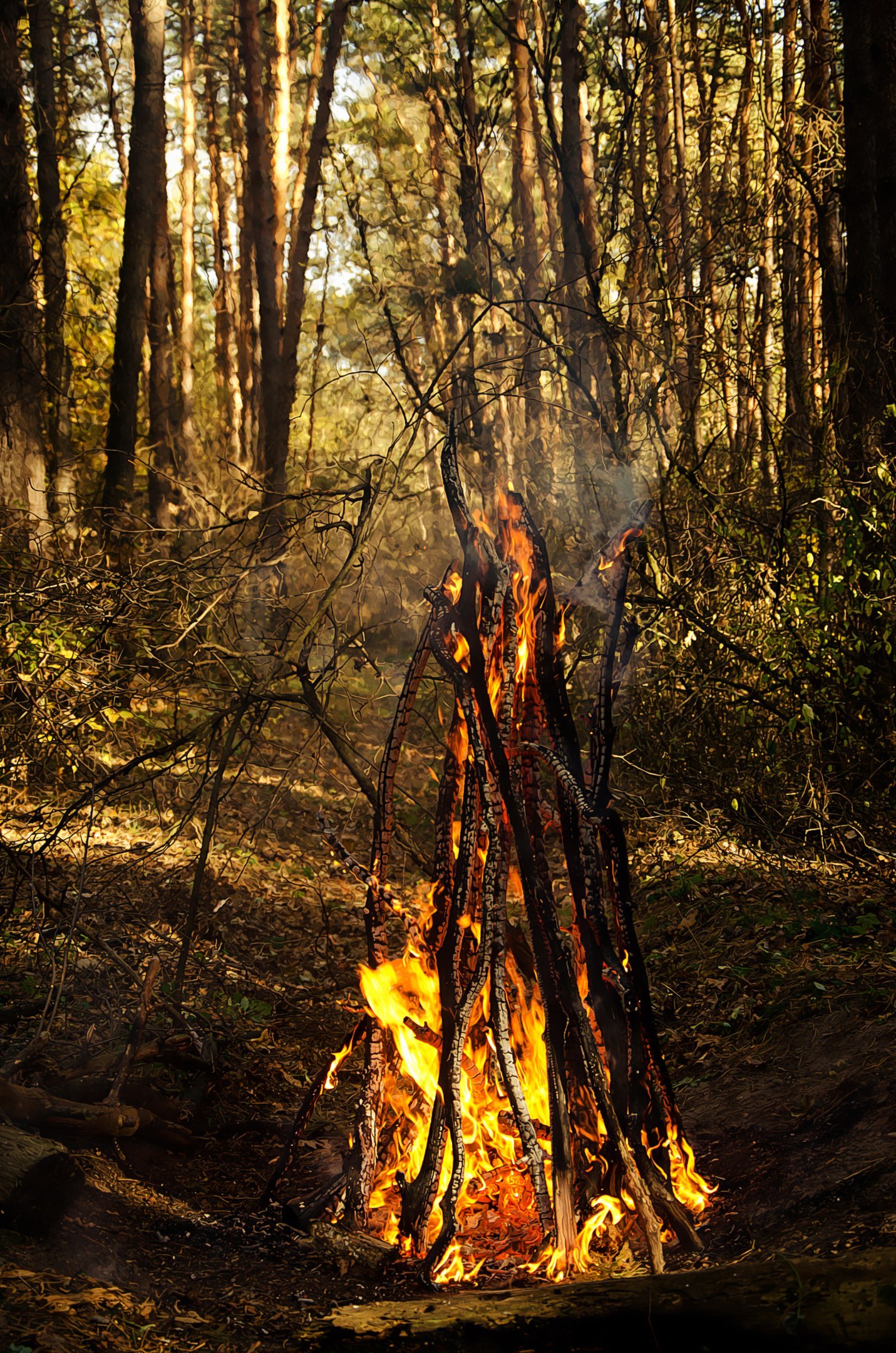 Legend of the Phoenix - My, Phoenix, Legend, PHOTOSESSION, Story, , Forest, Smoke, Longpost