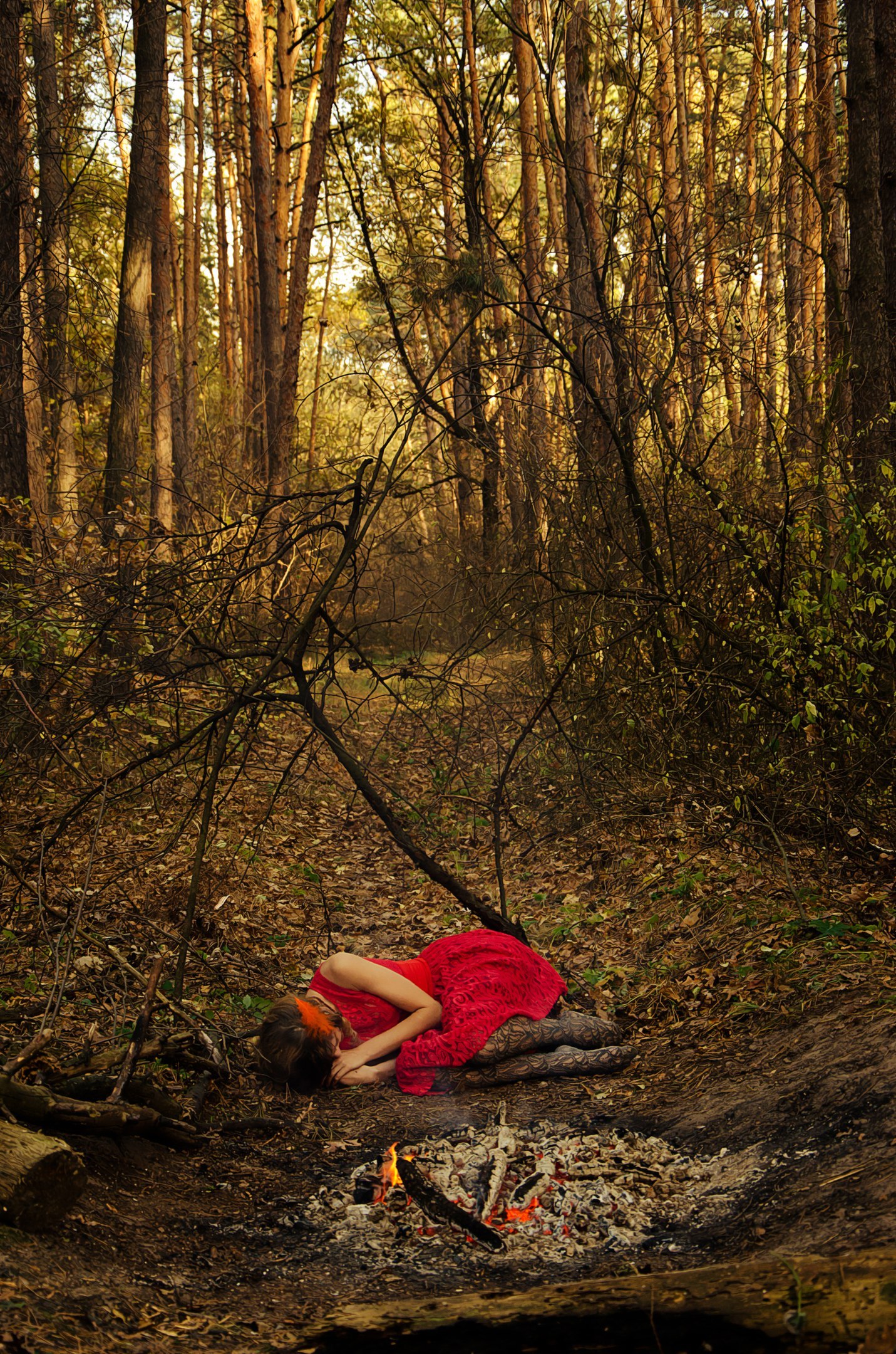 Legend of the Phoenix - My, Phoenix, Legend, PHOTOSESSION, Story, , Forest, Smoke, Longpost