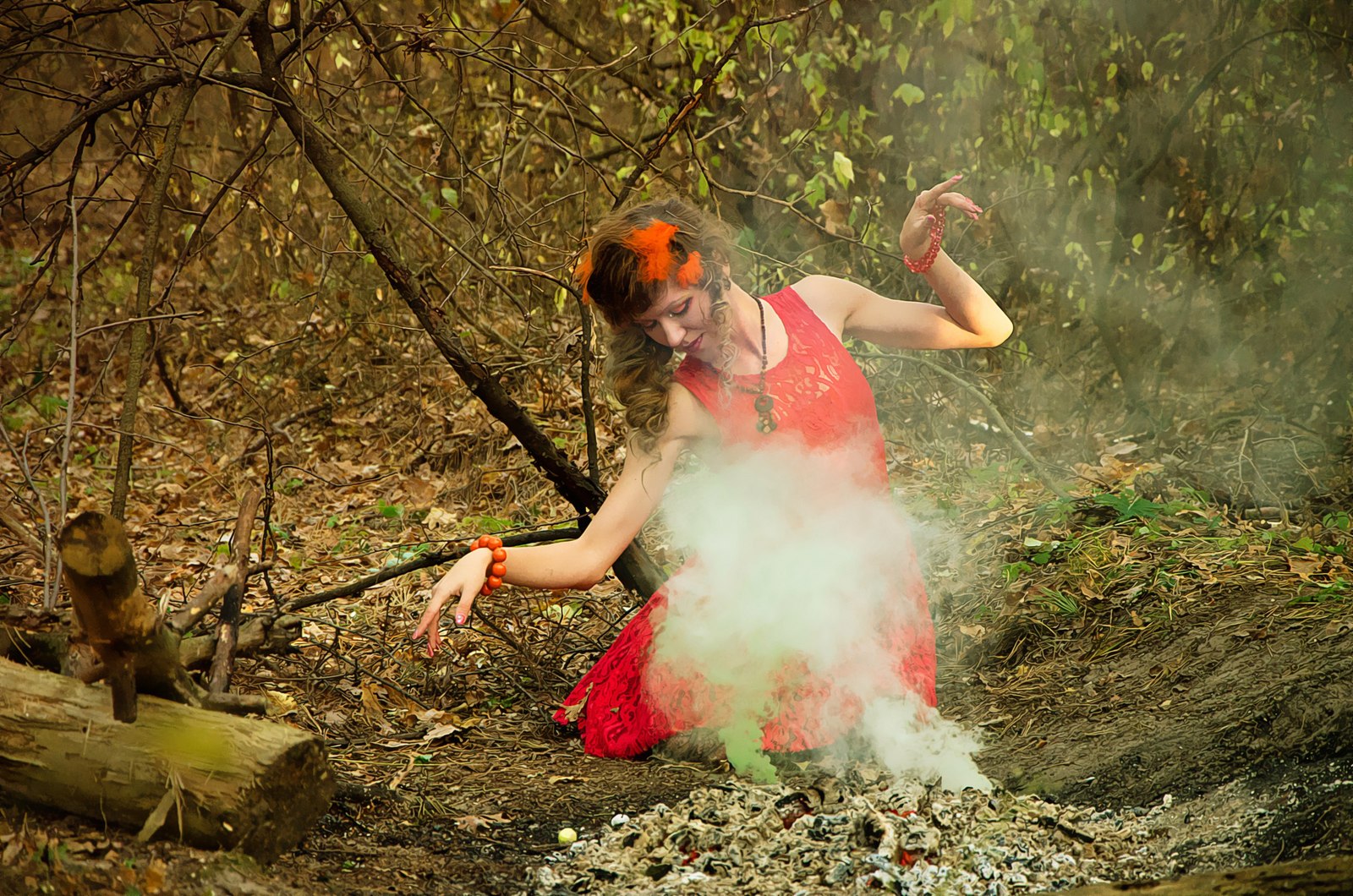 Legend of the Phoenix - My, Phoenix, Legend, PHOTOSESSION, Story, , Forest, Smoke, Longpost