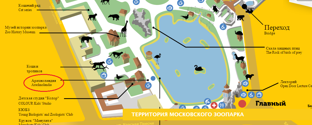 Где панды в московском зоопарке. Москва зоопарк панды на схеме. Карта Московского зоопарка панды. Московский зоопарк карта зоопарка. Схема Московского зоопарка панды.