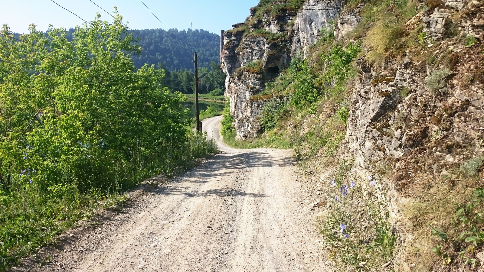 Moments of love, warmth and freedom.. - My, Nature, The photo, My, Ural, , Summer, Longpost