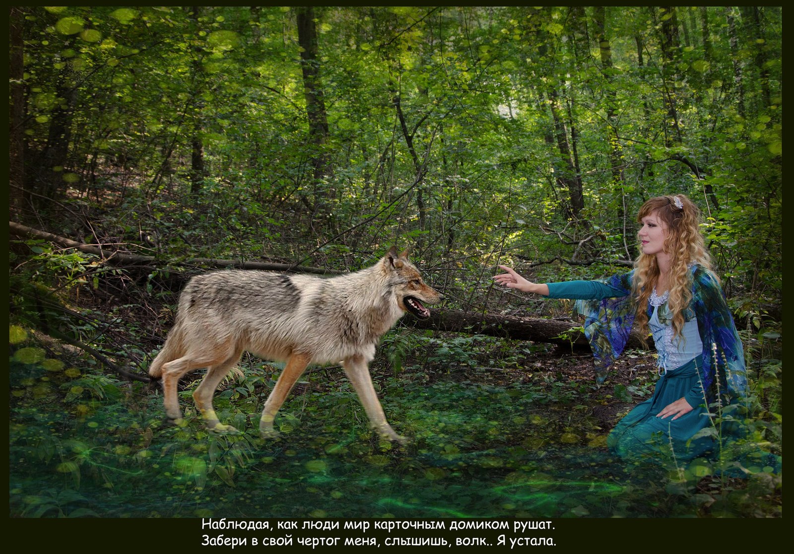 Song to the wolf (photo illustrations for poems) - My, Forest, Story, Wolf, Crow, Poems, PHOTOSESSION, Longpost