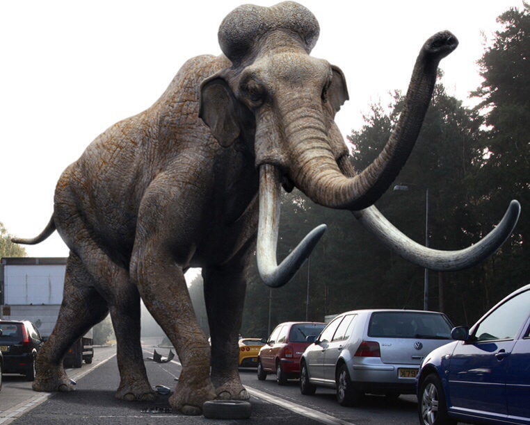 Самые удивительные слоны прошлого | Пикабу