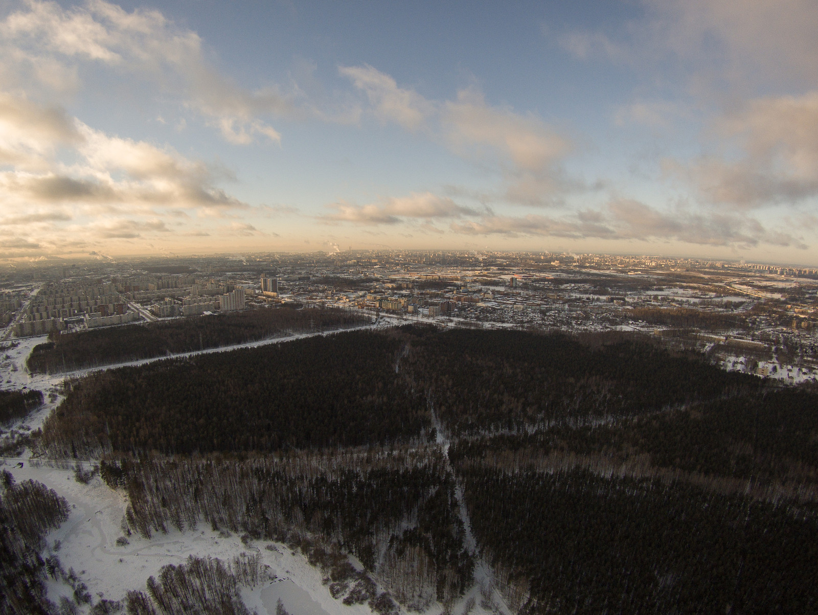 Rzhevsky forest park from a bird's eye view (06.12.2016) - My, Quadcopter, Saint Petersburg, Photo, Drone, Rzhevsky forest park, Forest, Longpost