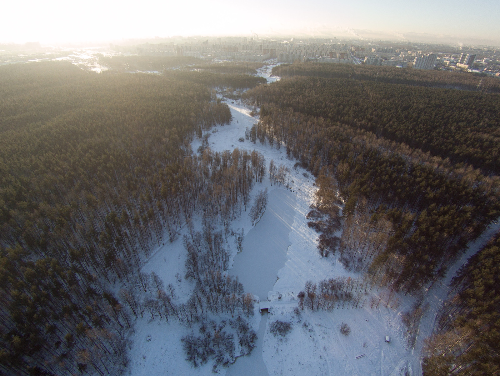 Rzhevsky forest park from a bird's eye view (06.12.2016) - My, Quadcopter, Saint Petersburg, Photo, Drone, Rzhevsky forest park, Forest, Longpost