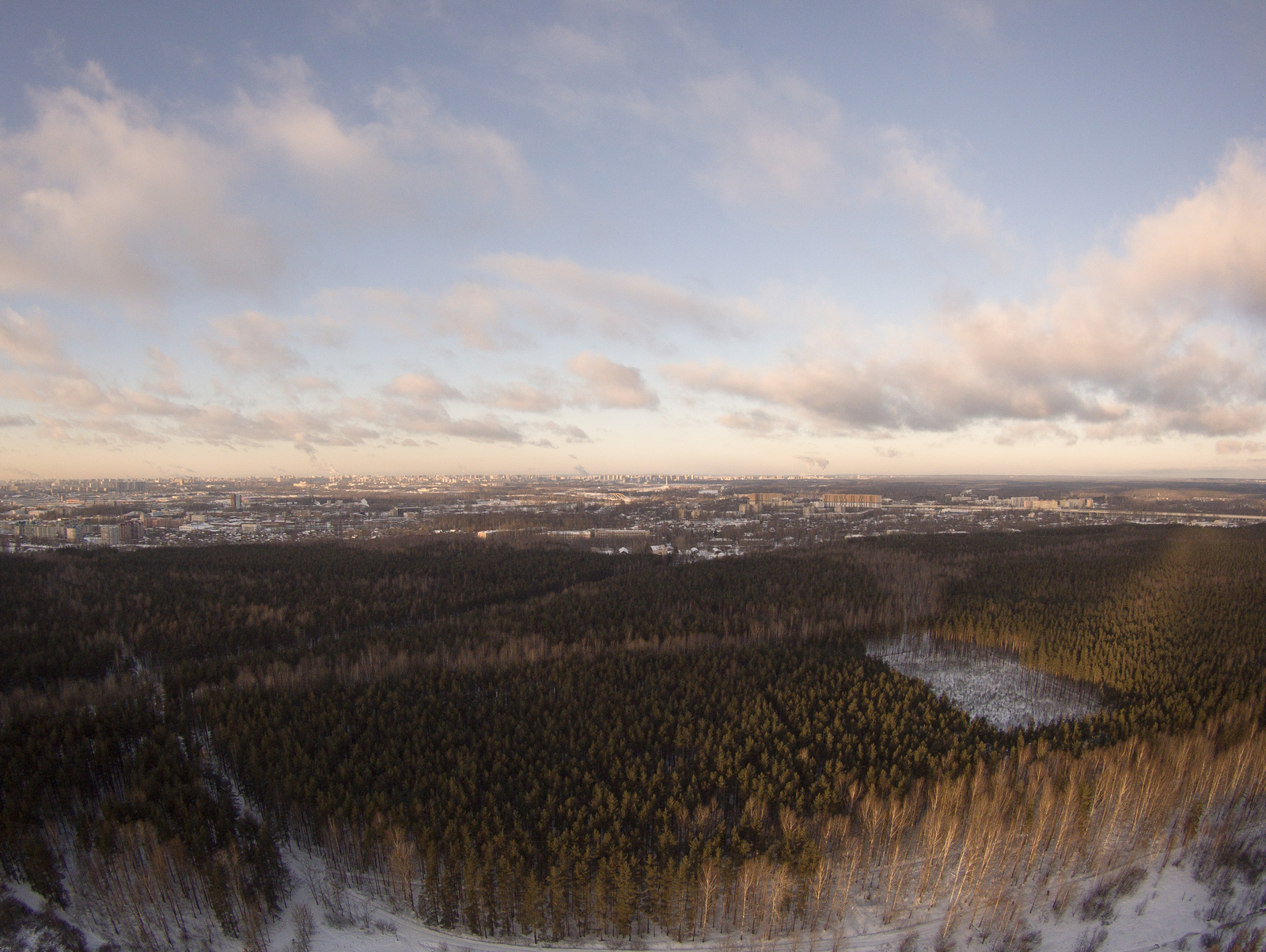 Rzhevsky forest park from a bird's eye view (06.12.2016) - My, Quadcopter, Saint Petersburg, Photo, Drone, Rzhevsky forest park, Forest, Longpost