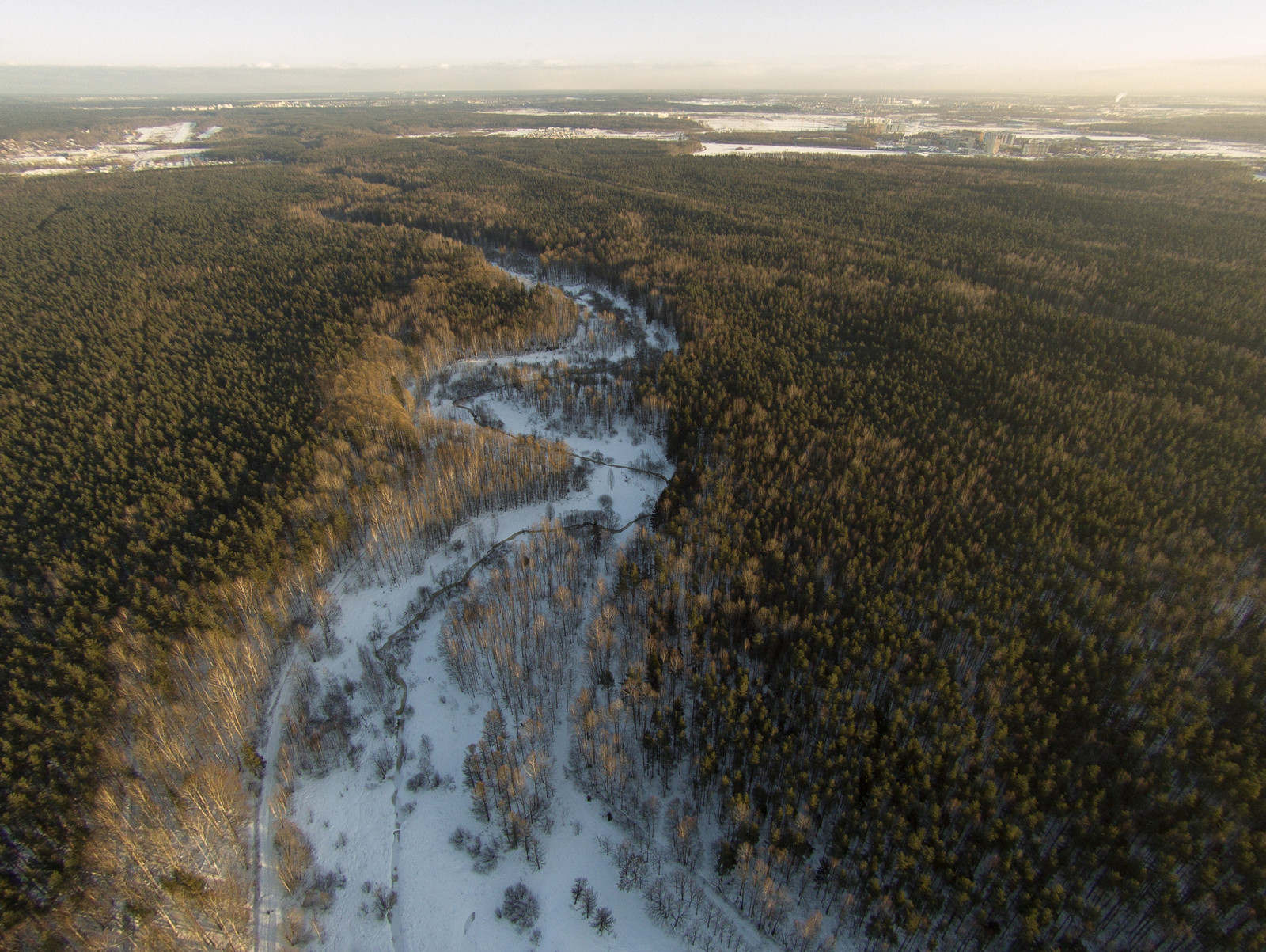 Rzhevsky forest park from a bird's eye view (06.12.2016) - My, Quadcopter, Saint Petersburg, Photo, Drone, Rzhevsky forest park, Forest, Longpost