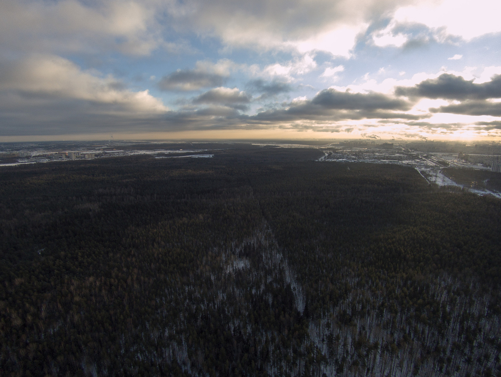 Rzhevsky forest park from a bird's eye view (06.12.2016) - My, Quadcopter, Saint Petersburg, Photo, Drone, Rzhevsky forest park, Forest, Longpost