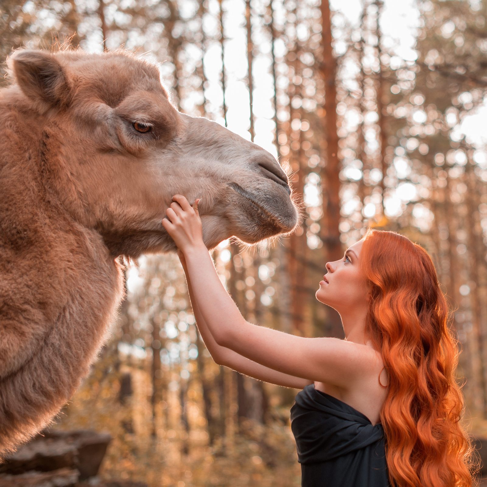 Леди Годива - Уральская версия - NSFW, Моё, Фотограф, Модели, Екатеринбург, Моё, Верблюд Вася, Урал, Леди Годива, Длиннопост