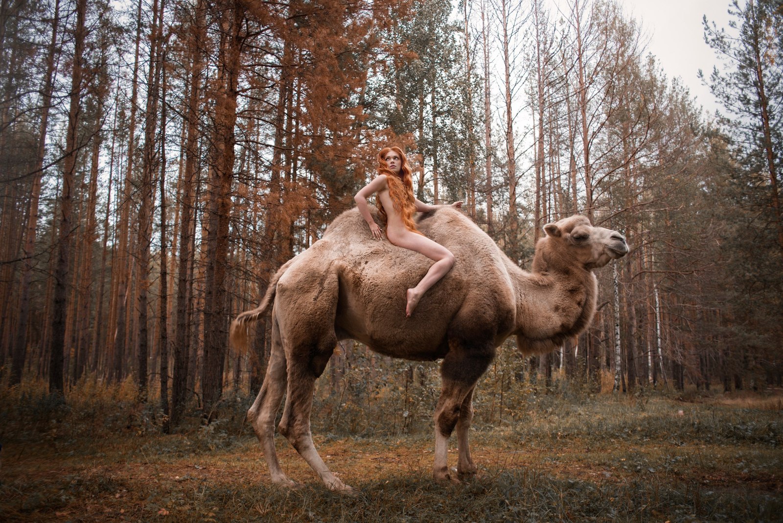 Леди Годива - Уральская версия - NSFW, Моё, Фотограф, Модели, Екатеринбург, Моё, Верблюд Вася, Урал, Леди Годива, Длиннопост