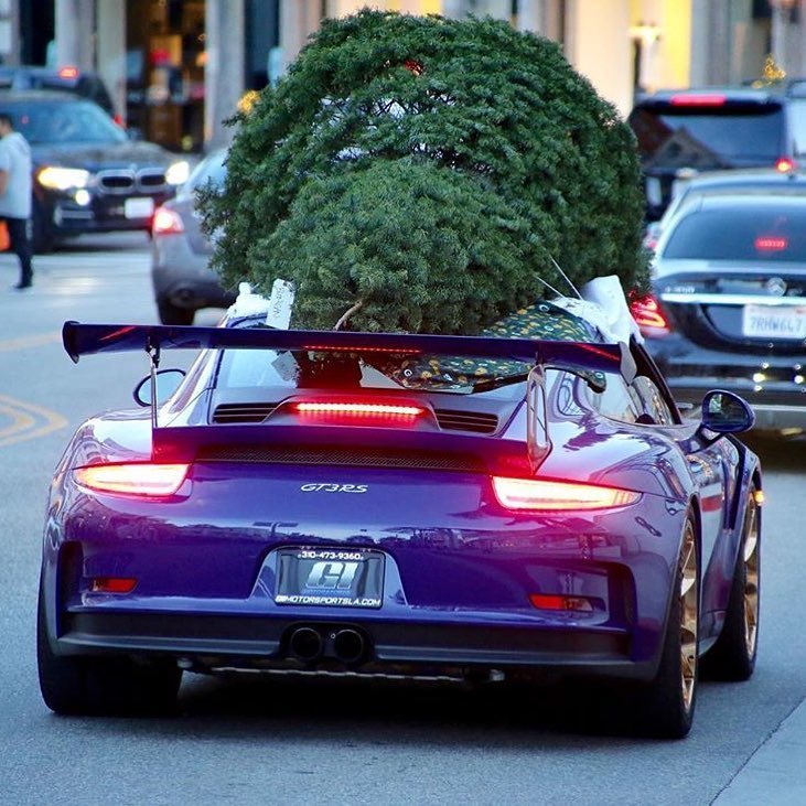 Delivery of exclusive Christmas trees under the order. - Christmas trees, Auto, Porsche, Supercar