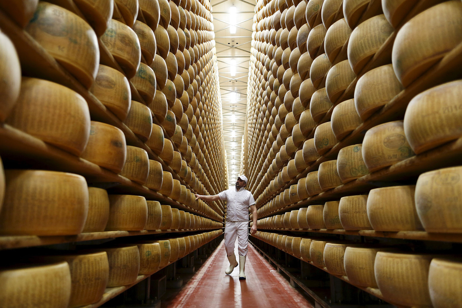 Parmesan cheese warehouse - Warehouse, Cheese