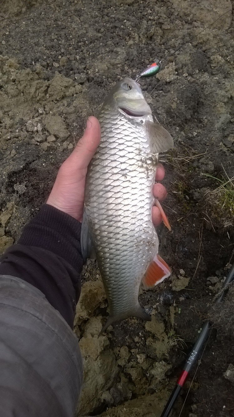 Fishing Report: Chub Battles - My, Report, Fishing, Spring, Longpost, 