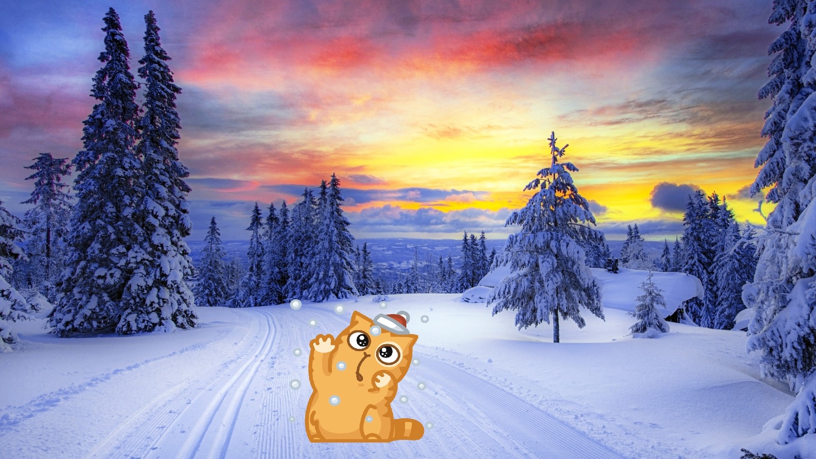 Winter Peach - Winter, cat, Images, Longpost, Stickers Cat Peach