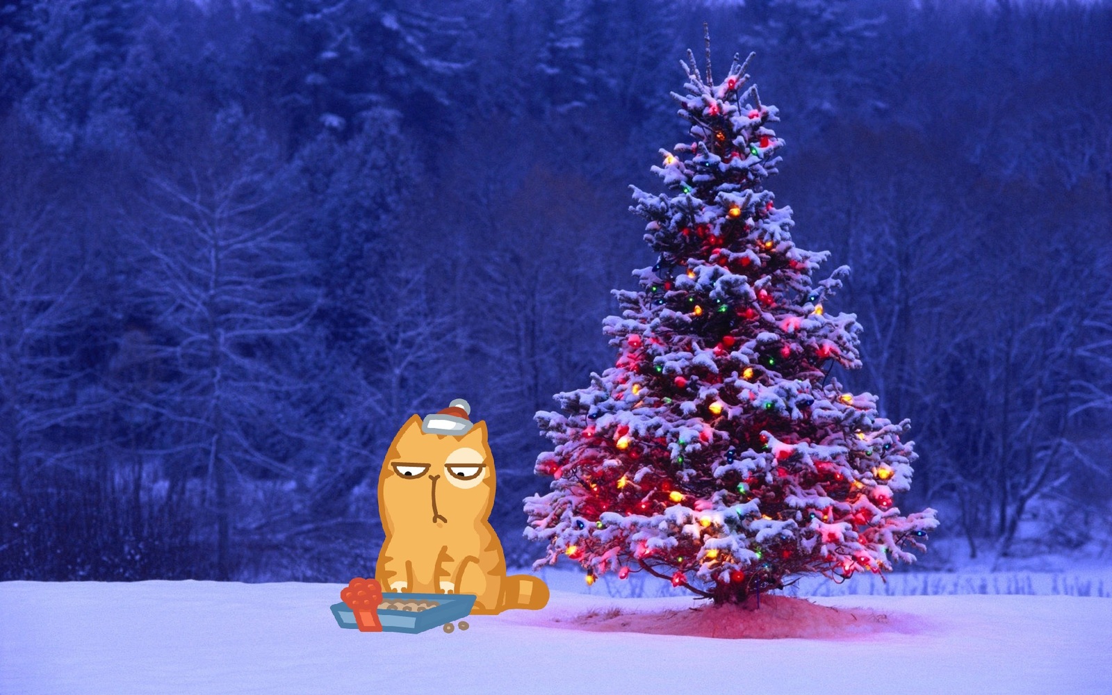 Winter Peach - Winter, cat, Images, Longpost, Stickers Cat Peach