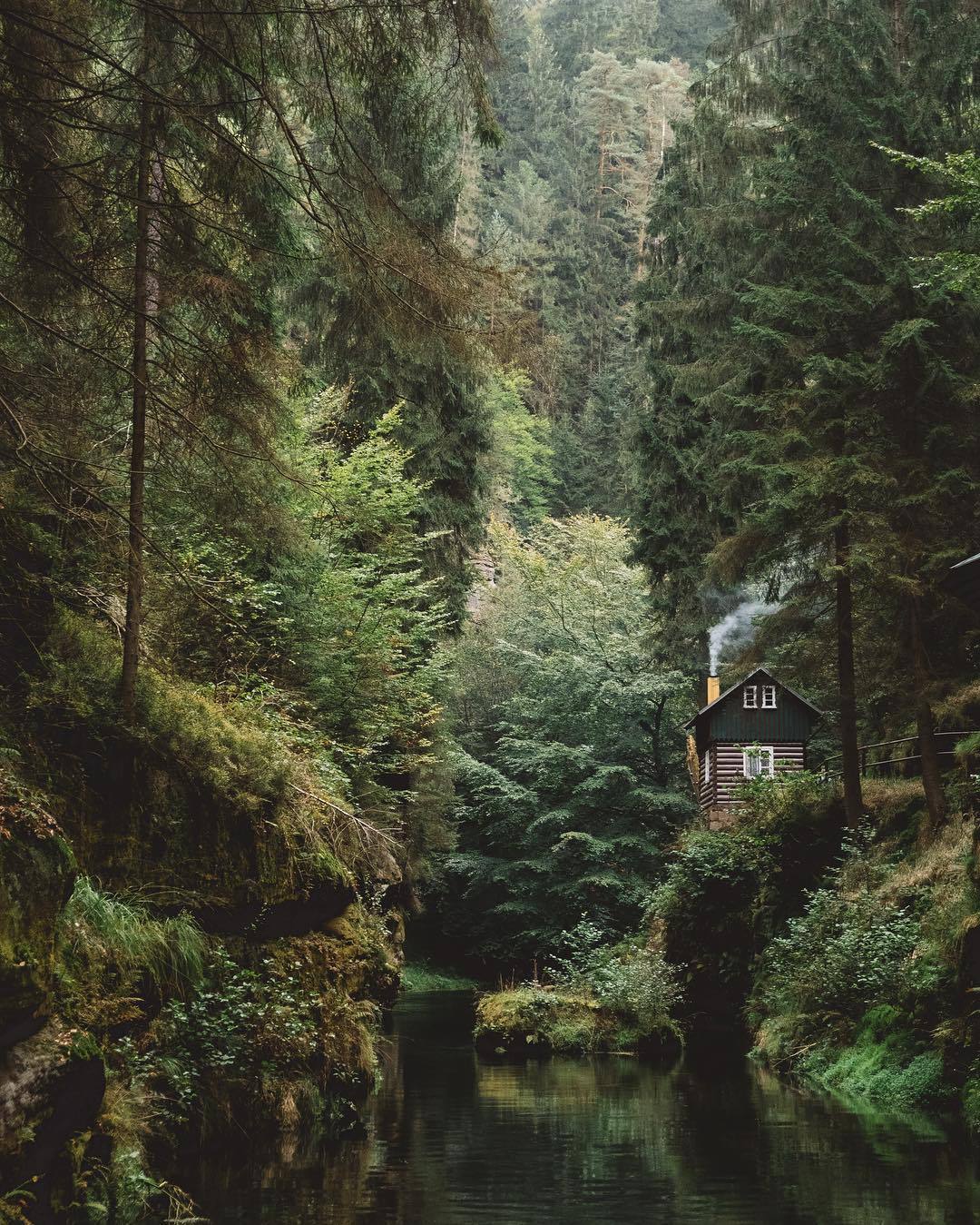 Hut. - Photo, Landscape, Forest, House, Privacy