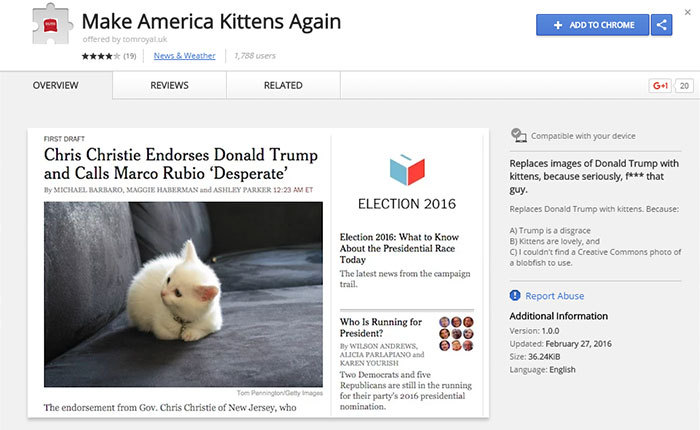 Google Chrome extension replaces Trump photos with ... KITTENS! - Donald Trump, Chrome extension, cat