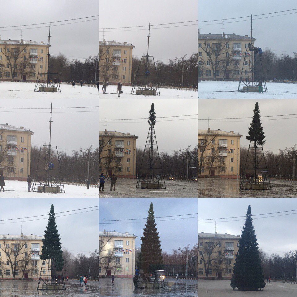 By the time we were harvesting, winter was over... - New Year, Christmas trees, Square, Russia