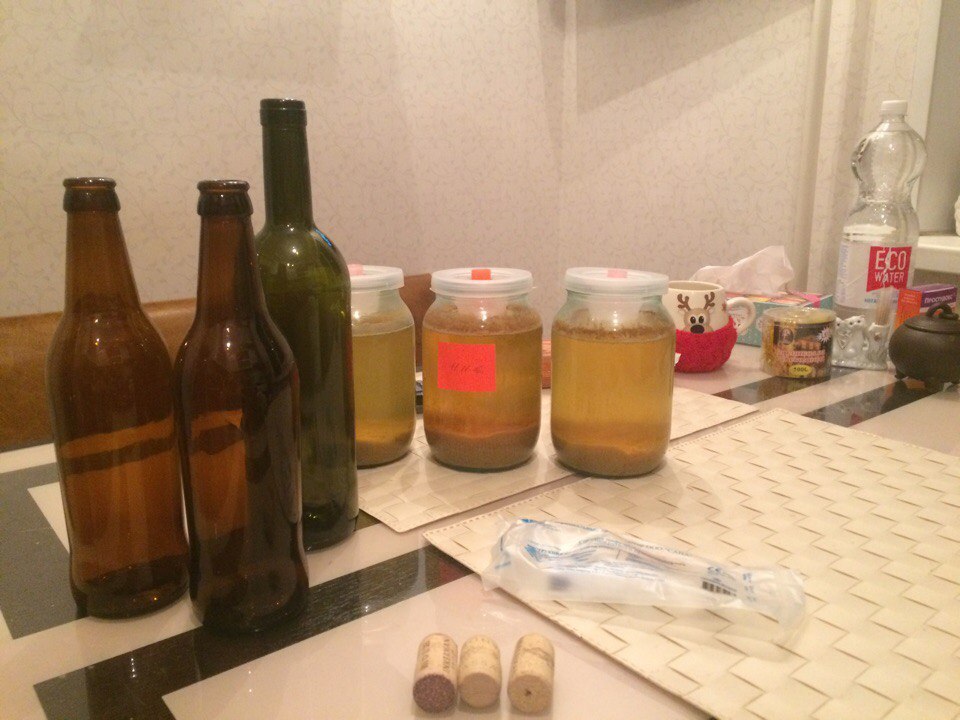 Home cider. - My, Cider, , Fermentation, Winter, Happened, My, Longpost