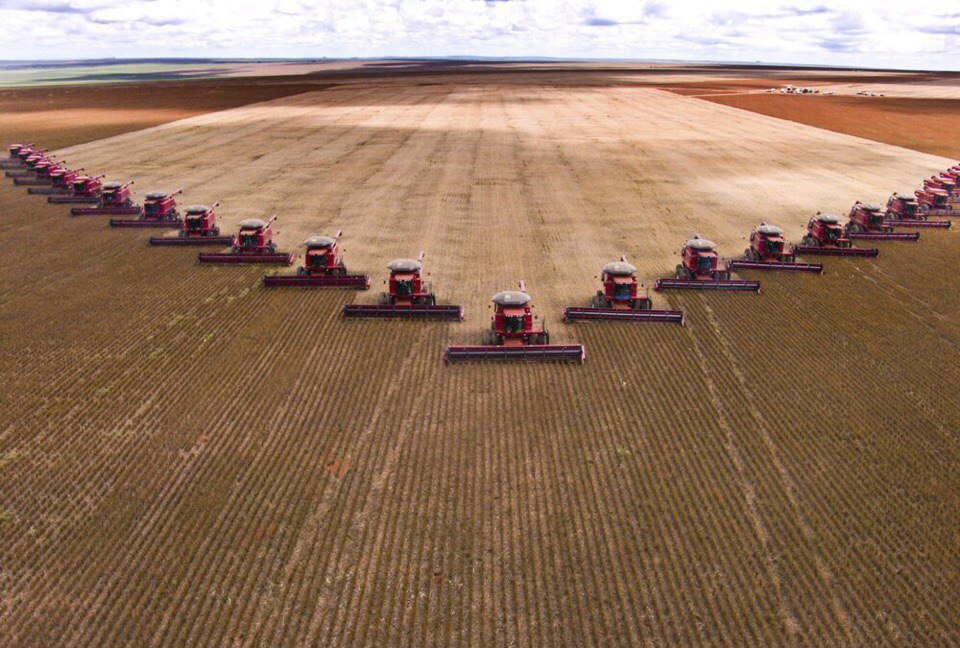 Perfectionism in Belarus - Republic of Belarus, Field, Ideally